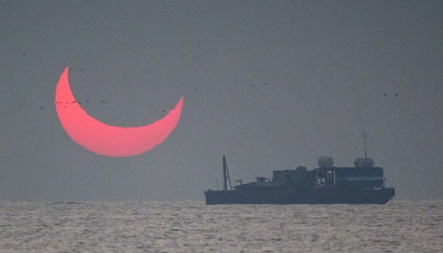 without-ado:‘Devil Horns‘ Sunrise, annular solar eclipse in Qatar by Elias Chasiotis on Dec. 26, 201