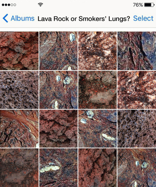 knowtherealcost - Some of these pictures are of lava rock, and...