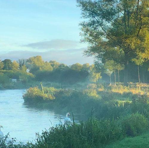 A day #troutfishing on the #river #testhttps://www.instagram.com/p/CUNpP6HInxN/?utm_medium=tumblr