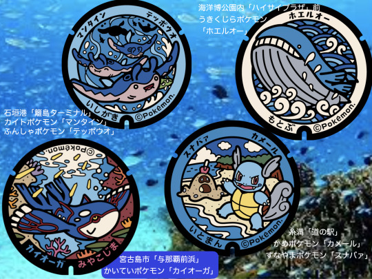 サニーゴ Explore Tumblr Posts And Blogs Tumgir