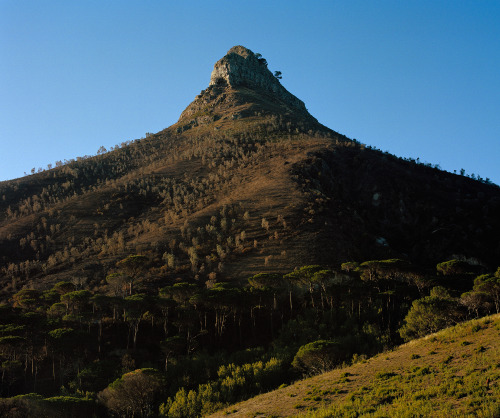 kent-andreasen: Few Days After The Mountain Was Ravaged By Fire