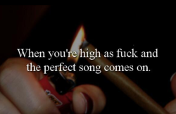 cannabisgizmos:  When this happens - Follow Us