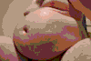 biggerfatterbelly: