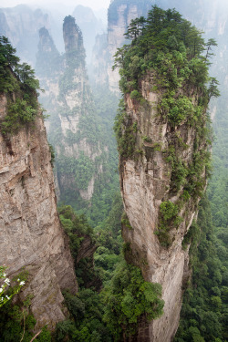 wanderthewood:  satakentia:  I found Pandora (by Reto Fröhlicher)  Zhangjiajie National Forest Park, Hunan, China 