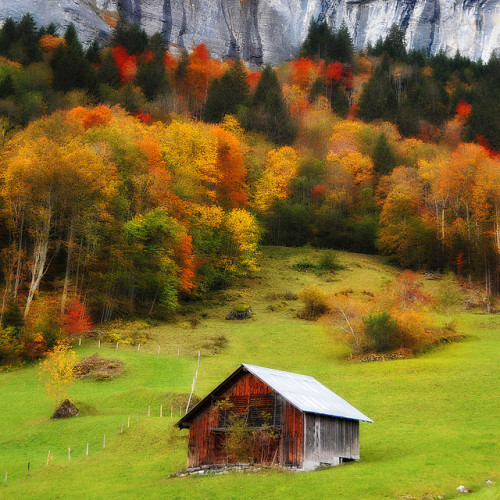 Spot Fall by Philippe Sainte-Laudy on Flickr.
