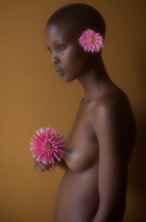 theafricatheynevershowyou:  flower power