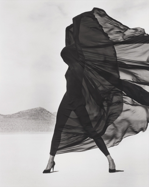 desimonewayland:Herb Ritts / Versace, Veiled Dress, El Mirage, 1990Gelatin silver print.Staley-Wise 