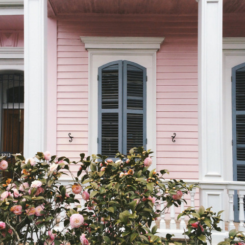 wovenwithcare:jacindaelena:New Orleans by Laura Steffanthis hurts