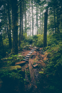 bluepueblo:  Forest Path, British Columbia,