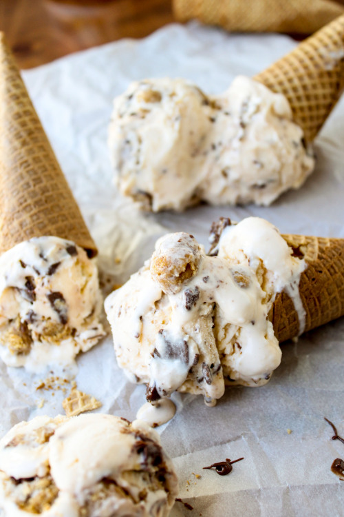 do-not-touch-my-food: Nutella-Peanut Butter Swirled Vanilla Ice Cream