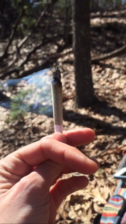 psychedelic-freak-out: Joints in the woods are the best