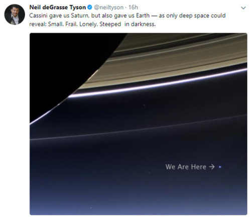 asapscience:  Early this morning, the Cassini adult photos