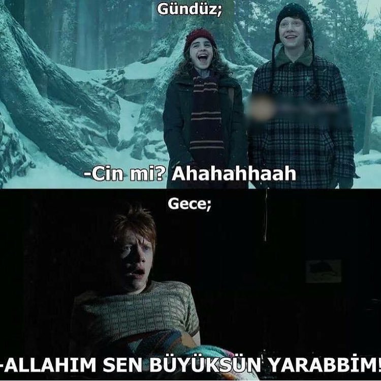 Gündüz;
Cin...