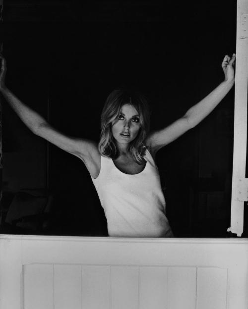 filmhall:   Sharon Tate by Curt Gunther  porn pictures