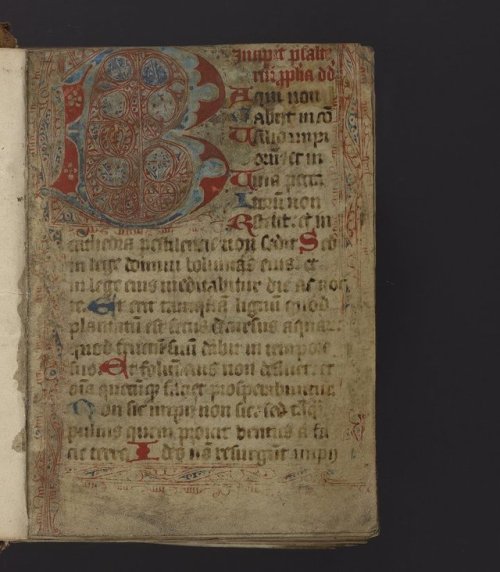 This week, we&rsquo;ll be looking at Psalters - specifically the decorated or historiated initial &l