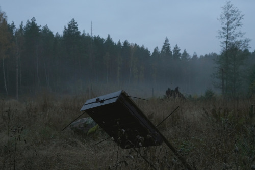 swedishlandscapes