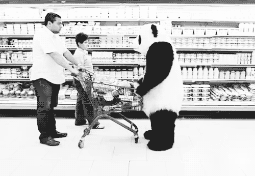 jaidefinichongg:  Panda culiao pesao
