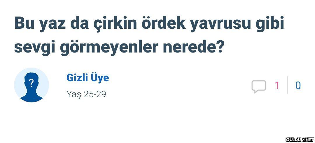 "   Bu yaz da çirkin ördek...