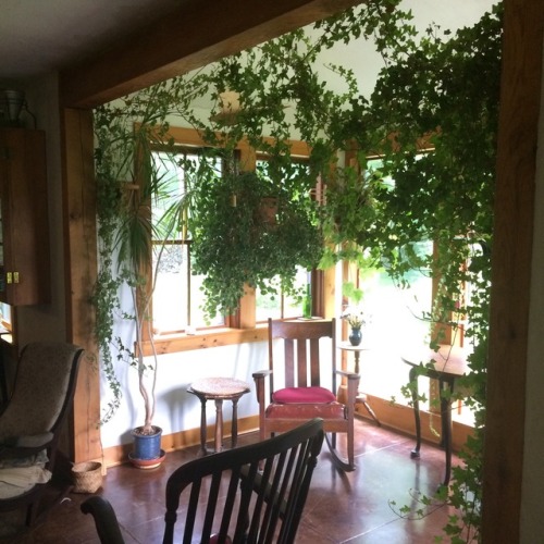 blue-greenery: my art teacher’s house is one of my favorite spaces