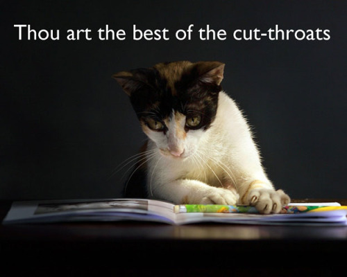 shannananan: kat-howard: dbvictoria: Shakespearean insults, with cats. 7 more here. I did not realiz