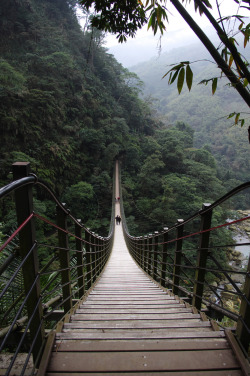 travelingcolors:  Tianti Sky Ladder, Jhushan | Taiwan (by Klose Tsai)