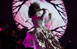 boudhabar:  bjork