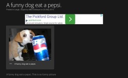 dunkstein:  This fukcing random page on some random website made me nearly puke laughing a couple days ago. God bless this dog 