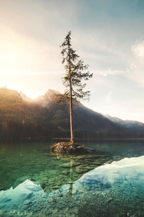 lsleofskye: Hintersee (Ramsuer Ache) | emmet_saplling