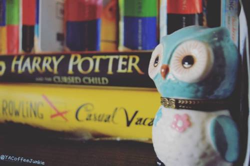 #owl #HarryPotter #youngadult #yalit #bookstagram #booklove #bookworm #bookstagrammer #photos #bookp