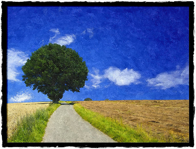 Oil painting - summer tree by FotoSketcher on Flickr.