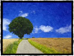 Oil Painting - Summer Tree By Fotosketcher On Flickr.