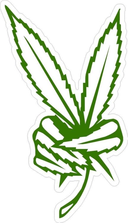 pineconeherb:  POT WEED MARIJUANA DOPE HIGH CANNABIS 4:20 VINYL DECAL DECALS STICKER STYLE 2