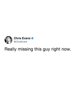 beardedchrisevans:Chris’ countdown to reuniting