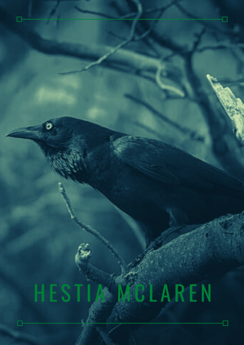 briarfox13: Hestia McLarenAesthetic Posters 