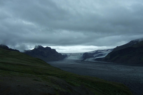 pleoros:  Iceland 