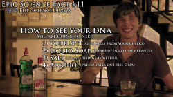 The-Science-Llama:  You Can See Your Own Dna With A Few Simple Steps. You Can Watch