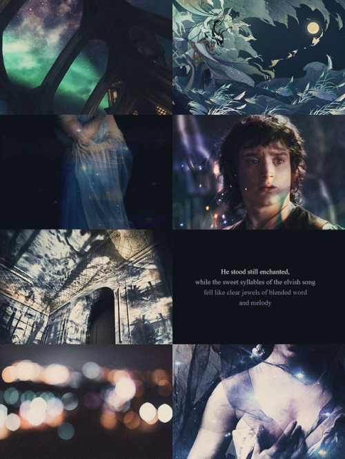 melianinarda:The Middle-Earth aesthetic | The Lord of the Rings’ quotesFrodohalted for a moment, loo