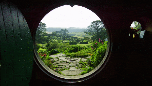 eowyntheavenger:Return to the Shire 