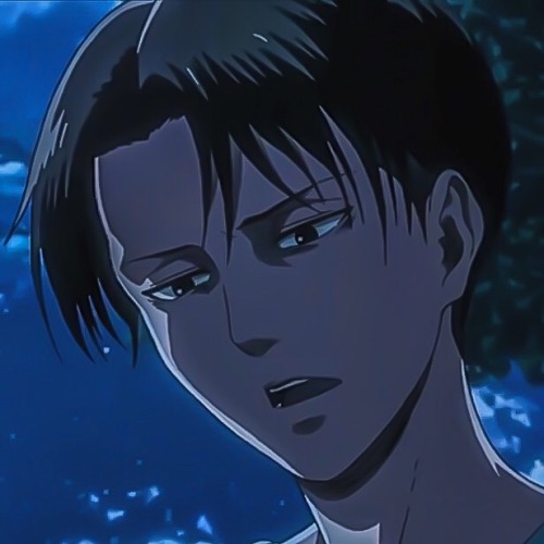 Levi Ackerman Icons