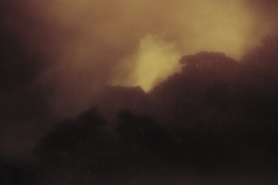 mydarkenedeyes:Rafael M. Milani