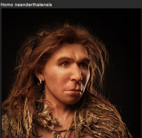 sixpenceee:  SCULPTING HUMAN EVOLUTION  Paleoartist Elisabeth Daynès is reconstructing human evolution through her sculptures. The sculptures above are in no particular order.  You can view more pictures and get more information here