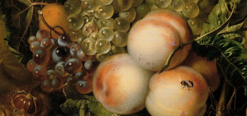 karrova:Flowers, Fruit and Insects (detail)Rachel Ruysch1716