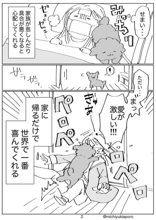 highlandvalley:  https://twitter.com/michiyukiaporo/status/963351630274949120/photo/1