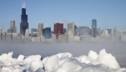 shoshanna37:  Chicago under ice, couple days ago. January 2014 