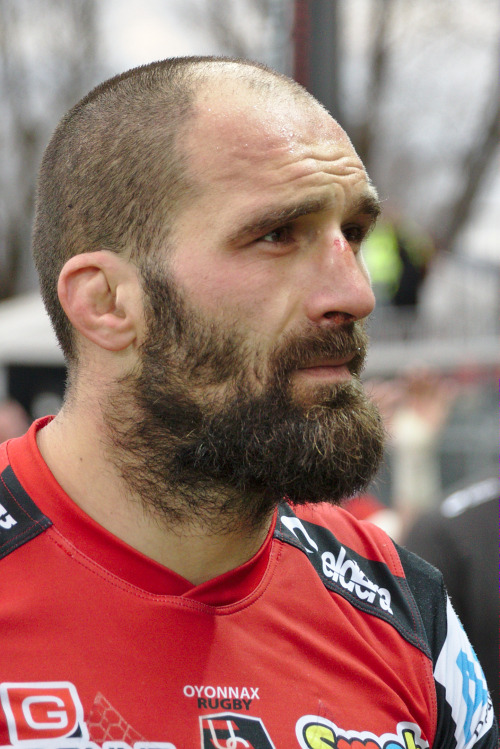 beards carefully curated