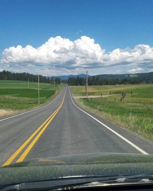 Dont forget eastern Washington has its charms too. #mtspokane #spokane #washington #spring #road #tr