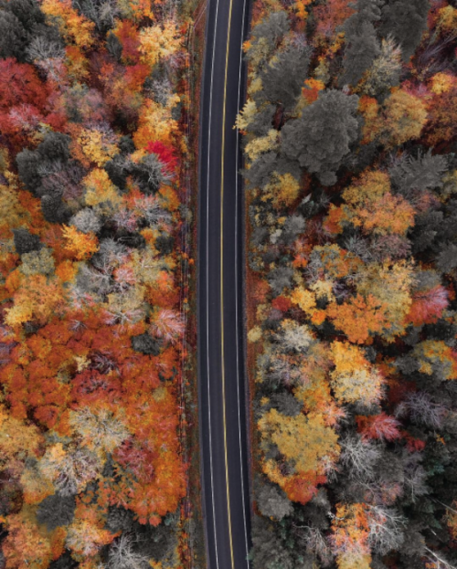 nubbsgalore:rivers and roads. rivers and roads. rivers till i reach you. (x, x, x, x, x, x, x, x, x, x)