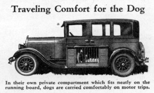vintageeveryday:Running boards: Traveling in cars with your dogs in the 1930s.