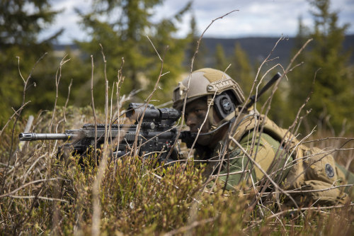 militaryarmament:  Recruits with The Norwegian Army’s Manoeuvre School’s Mechanized Company Group (KESK) during a live fire exercise at Rena Military Base. June 4, 2015.