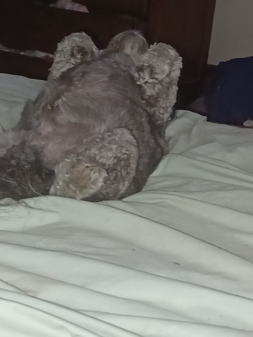 Jethro,no Worries